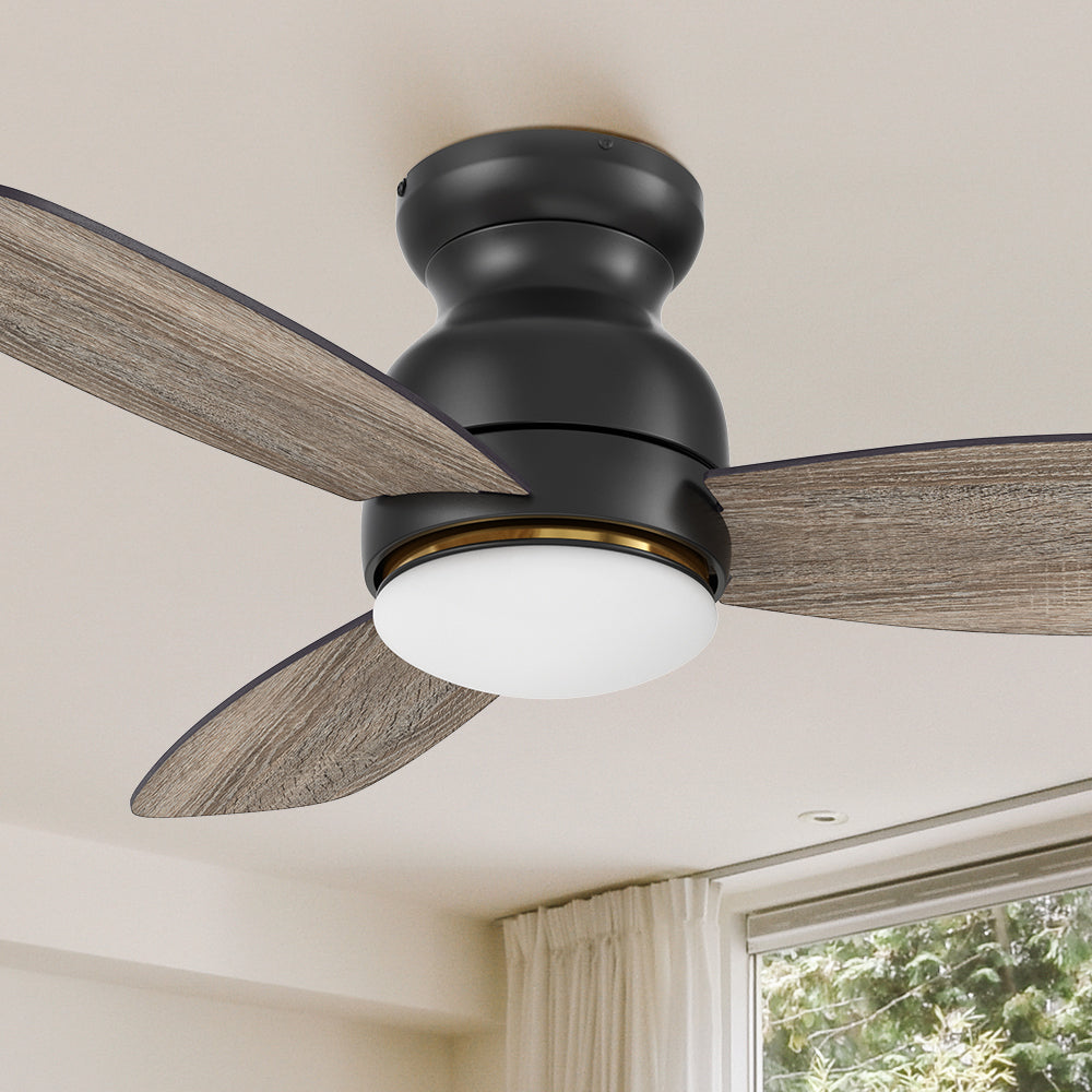 Carro Arran 44 inch modern ceiling fan with lights, a sleek silhouette, elegant blades, and a timeless black finish.