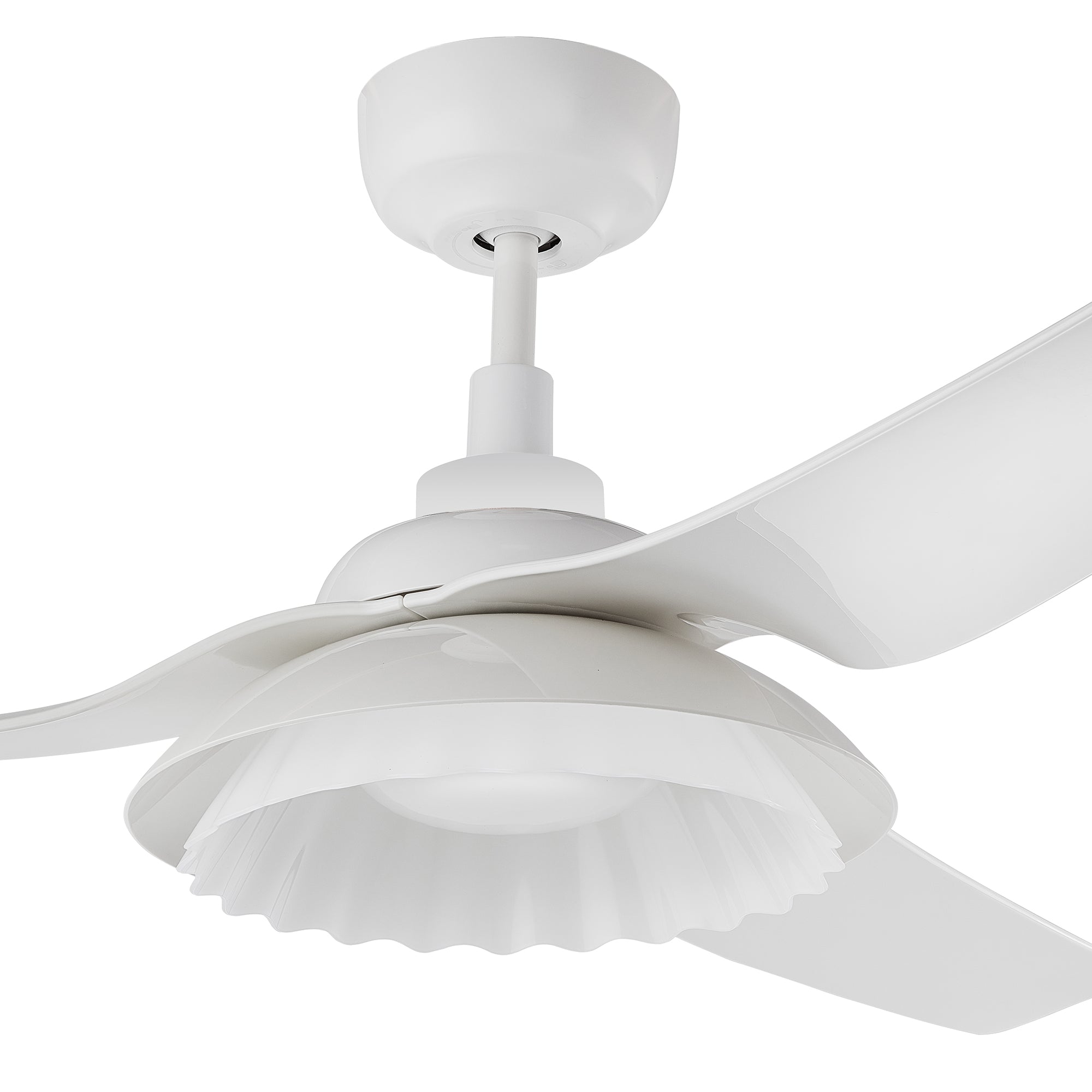 The Smafan Daisy 52&