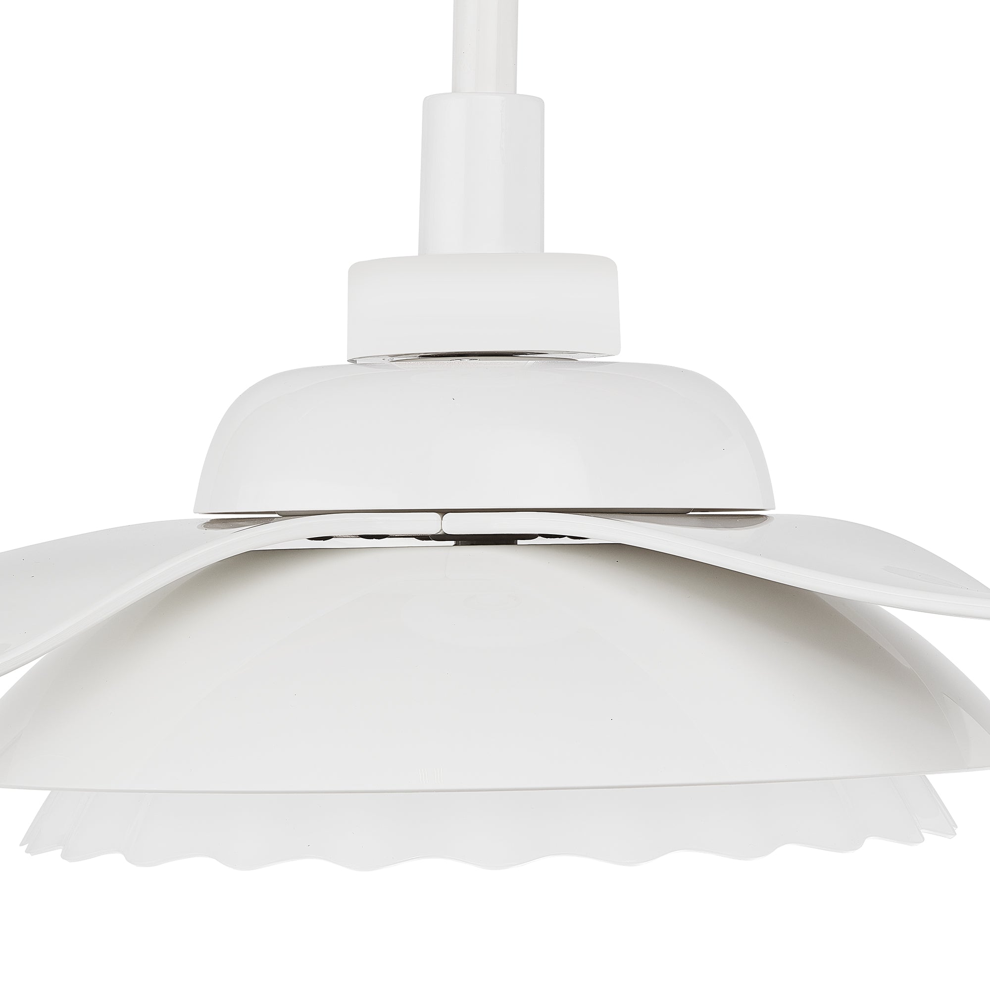 The Smafan Daisy 52&