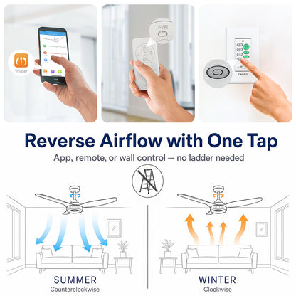 Smart ceiling fan with light, remote, and wall control, featuring summer and winter mode. Illustration shows counterclockwise airflow for cooling in summer and clockwise airflow for warmth in winter, with easy reverse function via app, remote, or wall switch.