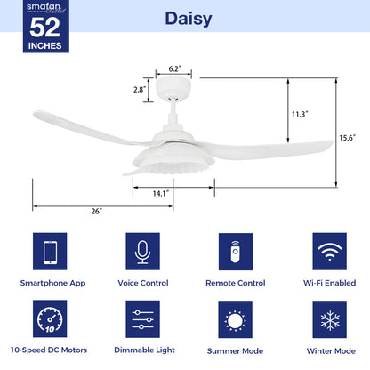 The Smafan Daisy 52&