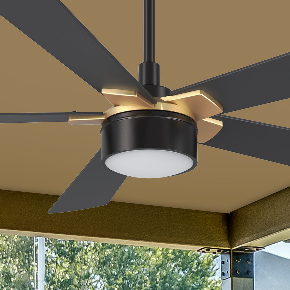 Carro Brescia 52 inch smart ceiling fan with black finish, elegant Plywood blades and integrated 4000K LED cool light. 