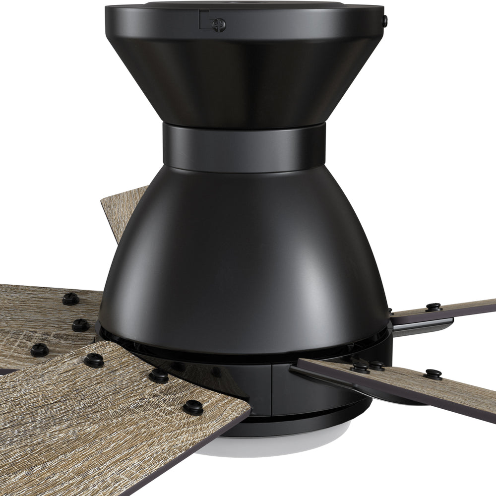 Carro Armoy 52 inch flush mount remote control ceiling fan with 10-Speed reversible whisper quiet DC motor. 