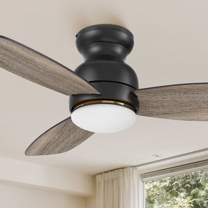 Carro Arran 44 inch modern ceiling fan with lights, a sleek silhouette, elegant blades, and a timeless black finish. 
