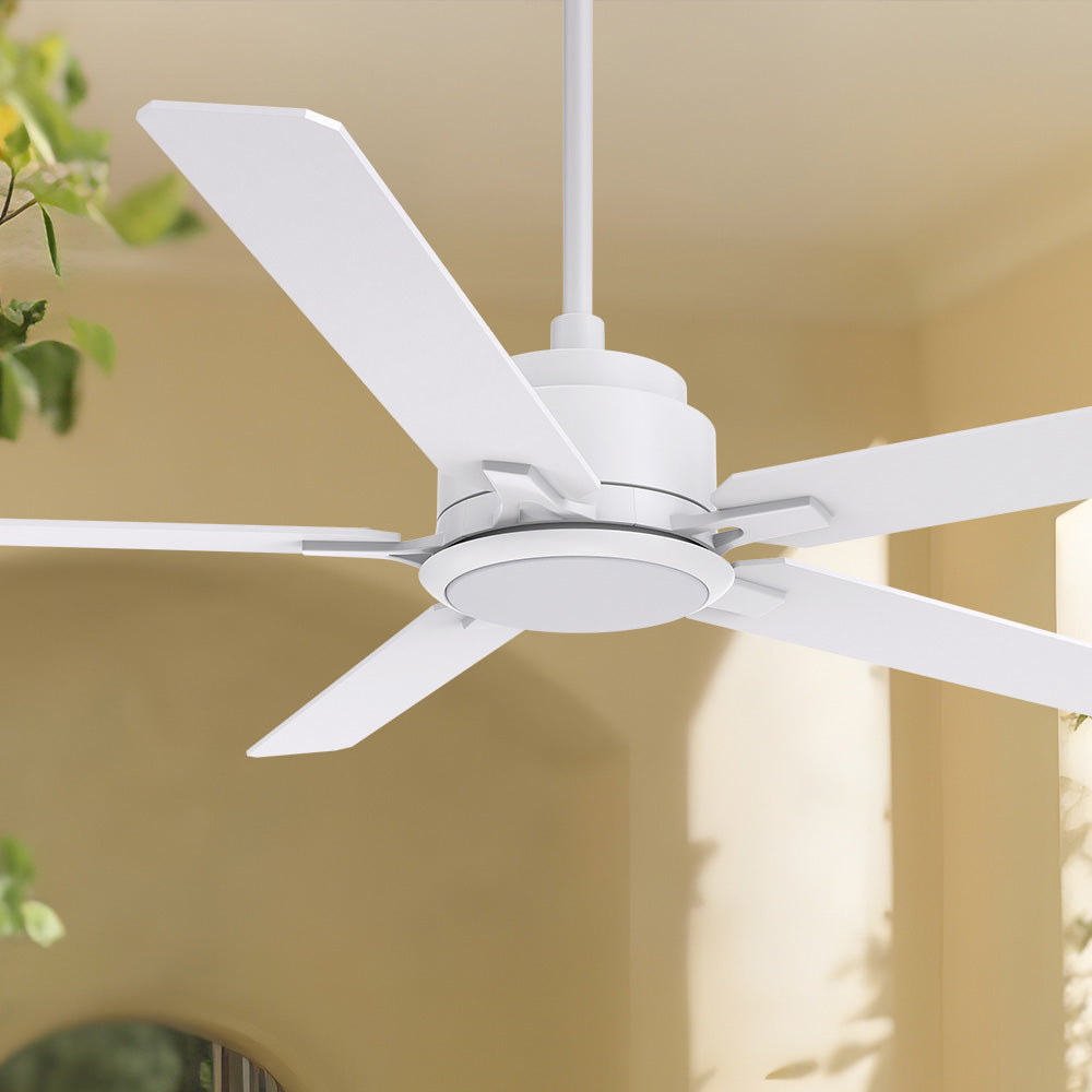 Carro Essex 56 inch smart ceiling fan with white finish, elegant Plywood blades and integrated 4000K LED cool light. 