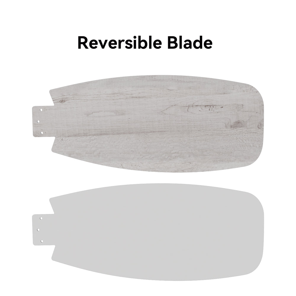 ceiling-fan-Color Finish-of- white Blade 