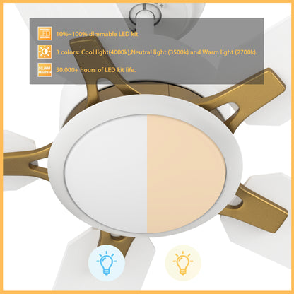 This Kyra 60" ceiling fan keeps your space cool, bright, and stylish. It is a soft modern masterpiece perfect for your large indoor living spaces. This ceiling fan is a simplicity designing with Black finish, use elegant Plywood blades and has an integrated 4000K LED cool light. The fan features Remote control to set fan preferences. 