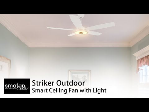 The Smafan Striker 56&